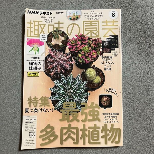 NHK 趣味の園芸 2024 8月号(NHK出版)多肉植物
