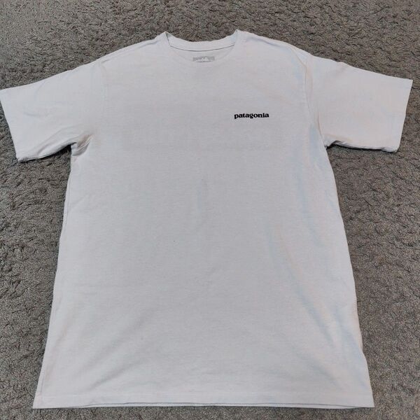 パタゴニア メンズTシャツ