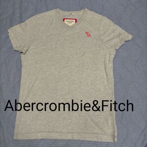Abercrombie&Fitch Vネック メンズ 半袖TシャツXXL