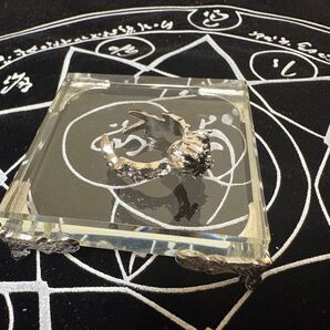 【莫富呪物】金喰(かねぐい)の指輪《カナトカゲ》※ちゃこ様専用商品