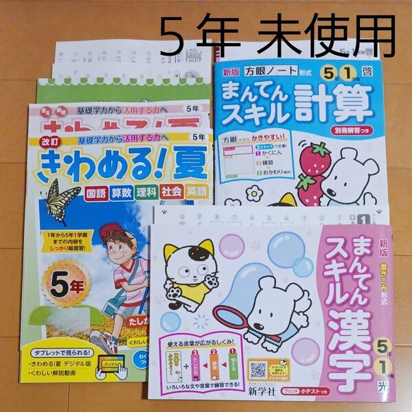 5年生 小五 夏休み 1学期 国語 算数 理科 社会 英語 漢字 計算 問題集 ドリル 先取り 予習 復習 まとめ売り セット