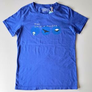 ユニクロ Tシャツ S ブルー 新品