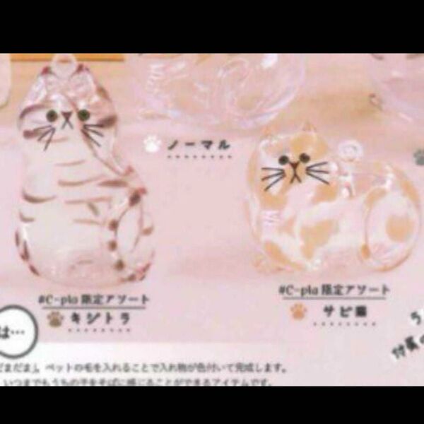 うちの子のけだまだま #C-pla限定 2種セット ガチャ ガチャガチャ キジトラ サビ猫