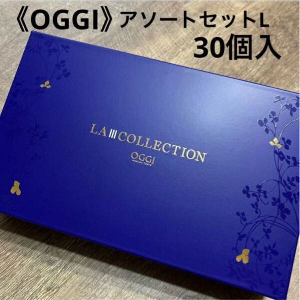 【OGGI(オッジ)】アソートセットL(30個入) 焼き菓子詰合せ 洋菓子詰合せ ガトーショコラ クッキー デパ地下スイーツ