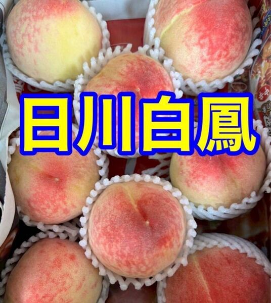 【和歌山県産★日川白鳳 】約1.2kg ご家庭用 5〜8玉 2,500円