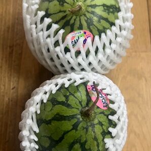 【小玉スイカ ひとりじめ7★約700-800g 2玉セット】ご家庭用 2,650円