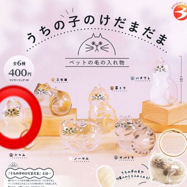 うちの子のけだまだま 猫 シャム ガチャ ペットの毛 ペットの毛の入れ物