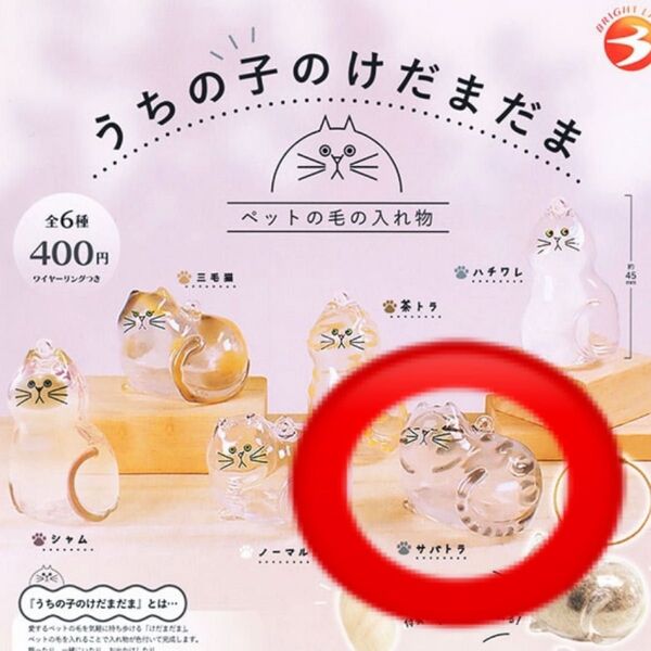 うちの子のけだまだま 猫 サバトラ ガチャ ペットの毛 ペットの毛の入れ物