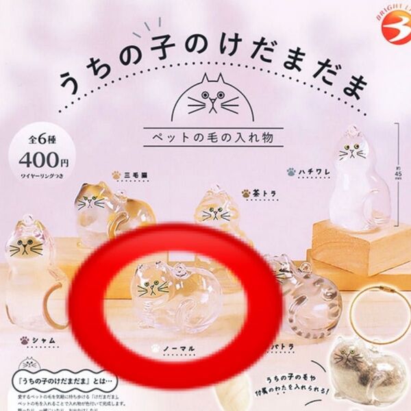 うちの子のけだまだま 猫 ノーマル ガチャ ペットの毛 ペットの毛の入れ物