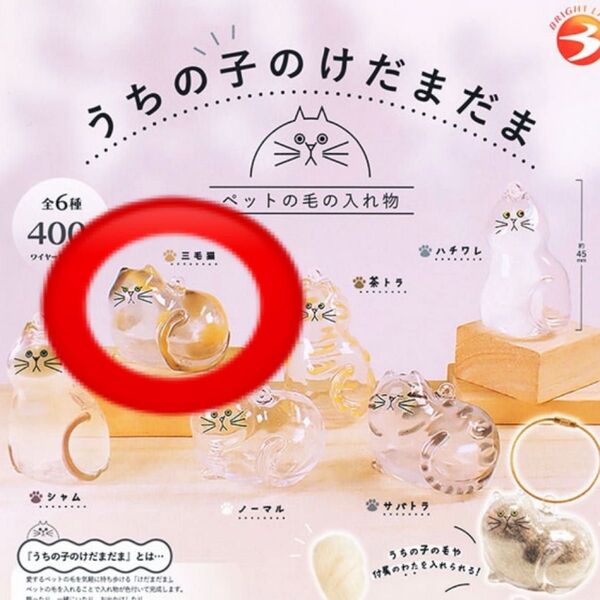 うちの子のけだまだま 猫 三毛猫 ガチャ ペットの毛 ペットの毛の入れ物