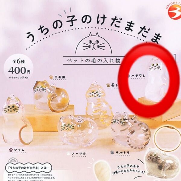 うちの子のけだまだま 猫 ハチワレ ガチャ ペットの毛 ペットの毛の入れ物