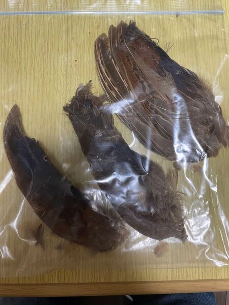 オフト OFT フライマテリアル ゴールデンフェザントウィング