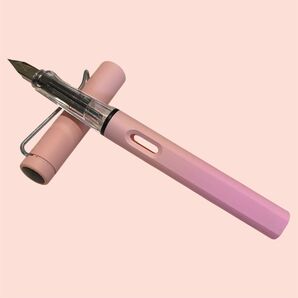【限定/特売】 万年筆