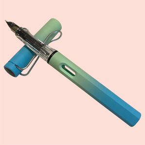 【限定/特売】 万年筆 文房具