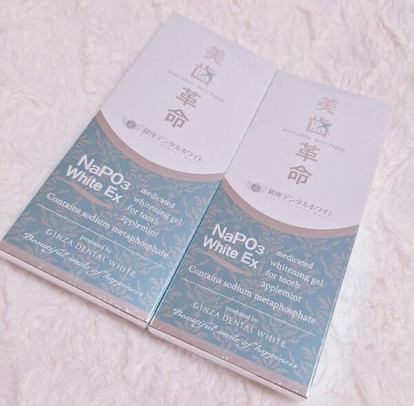 美歯革命 2本 銀座デンタルホワイト 11ml メタリンホワイトEX ホワイトニング歯磨き剤 歯みがき粉