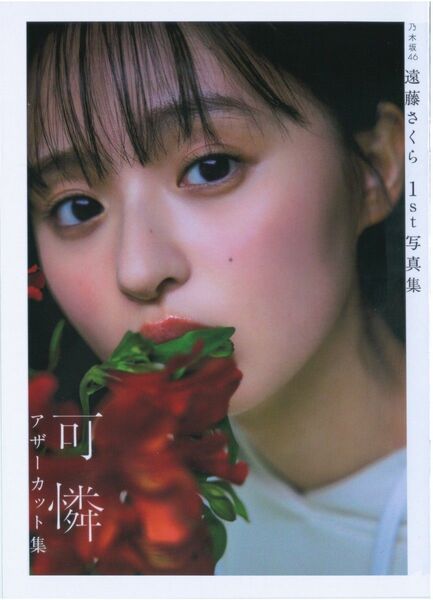 遠藤さくら 写真集 可憐アザーカット集 乃木坂46