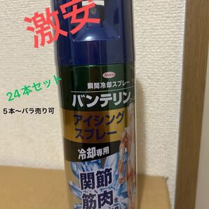 バンテリン アイシングスプレー 420ml コールドスプレー 新品 24本