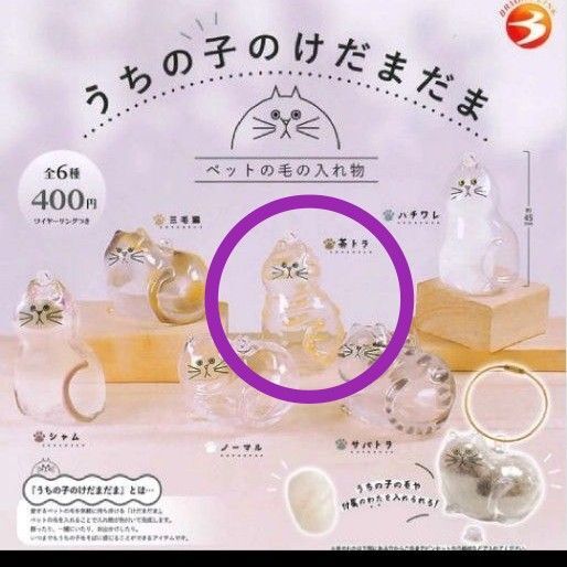 うちの子のけだまだま 茶トラ