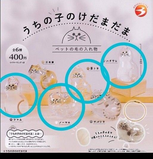うちの子のけだまだま ノーマル シャム ハチワレ 茶トラ
