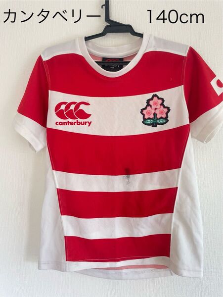 カンタベリー ラグビー日本代表ユニフォーム 練習着Tシャツ 140cm