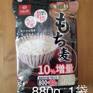 もち麦 880g 1袋 はくばく