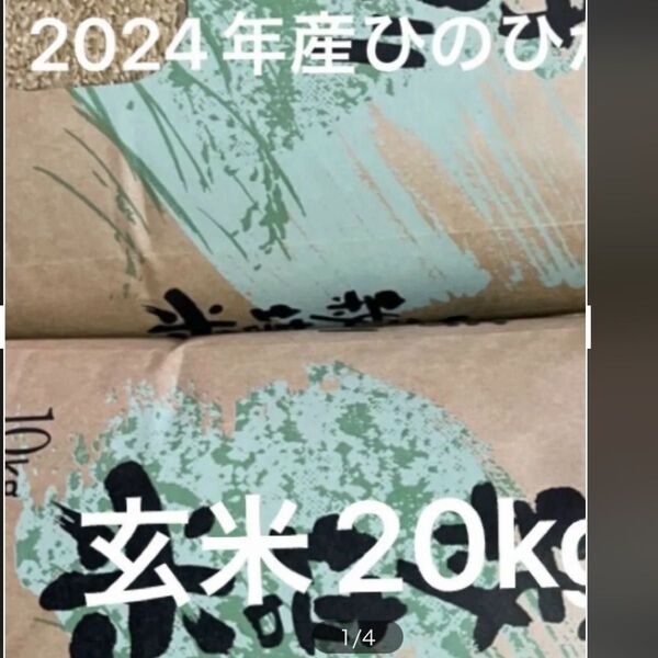 2024年産ヒノヒカリ玄米20kg