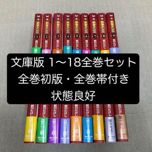 【全巻初版・全巻帯付き】鉄拳チンミ 文庫版 1〜18全巻セット 前川たけし
