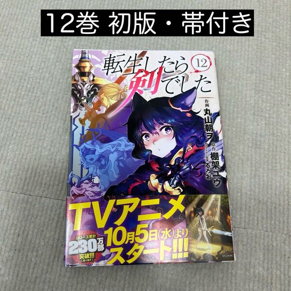 転生したら剣でした 12巻(バーズコミックス) 丸山 朝ヲ 画
