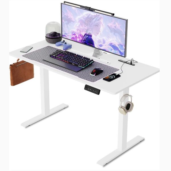 電動昇降式機能付きデスク 机 ゲーミングデスク USB・コンセント付 120x60cm オフィスデスク スタンディングデスク