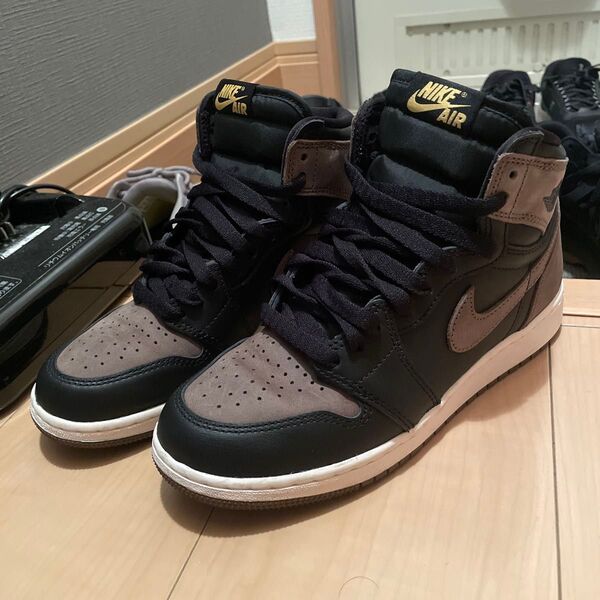 Nike GS Air Jordan 1 Retro High OG パロミノ