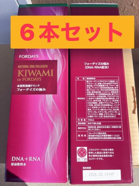 極み 6本 フォーデイズ