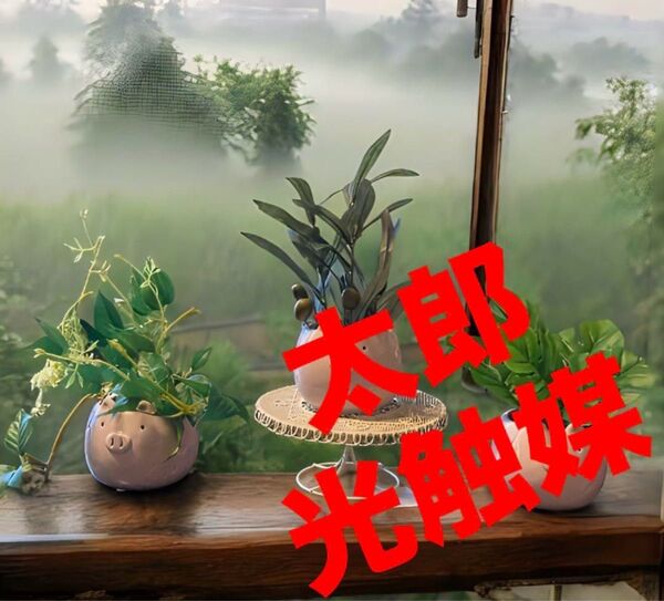 光触媒 人工観葉植物 ウォールグリーン フェイクグリーン 豚陶器 オリーブ モンステラ バインリーフ