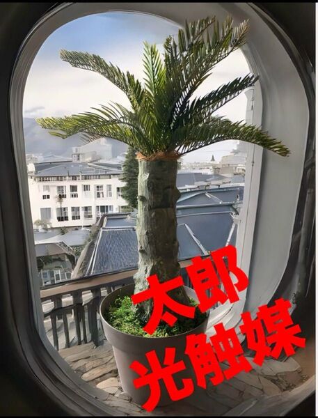 光触媒 人工観葉植物 ウォールグリーン フェイクグリーン フェニックス 73