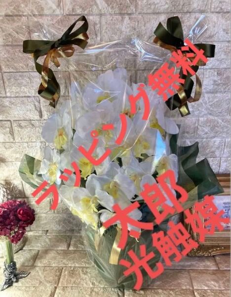 光触媒 人工観葉植物 ウォールグリーン フェイクグリーン フラワー ハンドメイド 胡蝶蘭6340