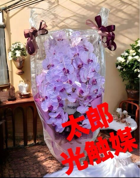光触媒 人工観葉植物 ウォールグリーン フェイクグリーン 胡蝶蘭8550