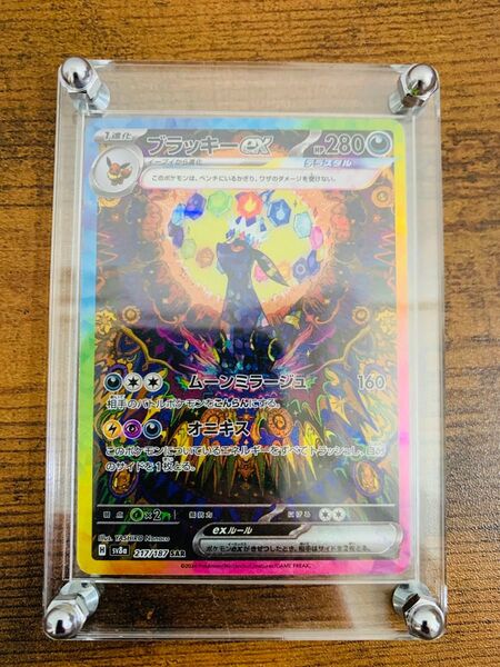 【24時間以内発送】 ブラッキーex SAR テラスタルフェス ポケモンカード
