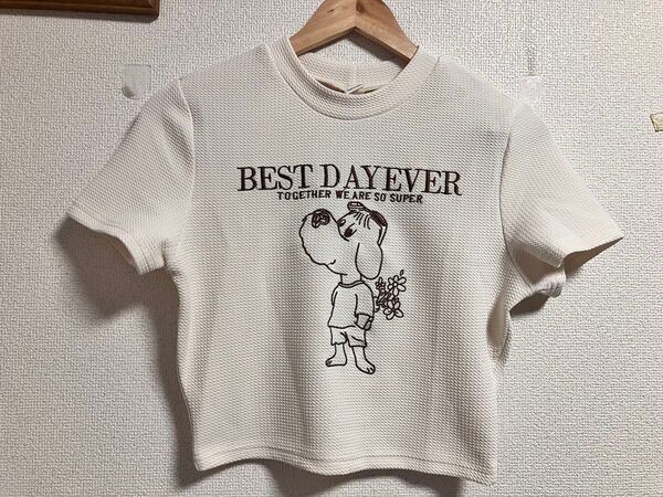 犬 プリント クルーネック クロップ Tシャツ 半袖 レディース Lサイズ アプリコット
