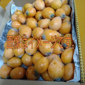 超訳アリ 枇杷 実のみ コンパクト箱 ゴロゴロ入り