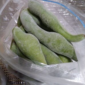 一寸 そら豆 自家採種 種 6粒
