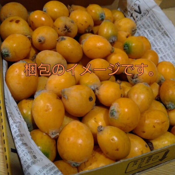 超訳アリ 無農薬 枇杷 実のみ コンパクト箱 ゴロゴロ入り