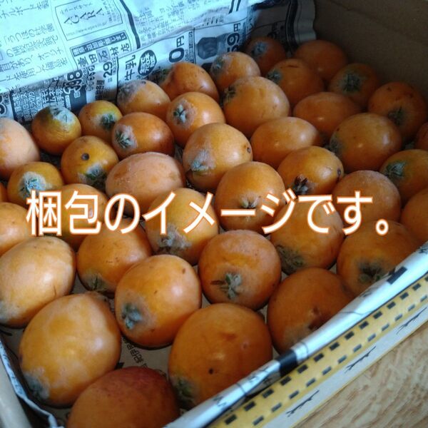 訳アリ 無農薬 枇杷 実のみ 宅急便コンパクト箱
