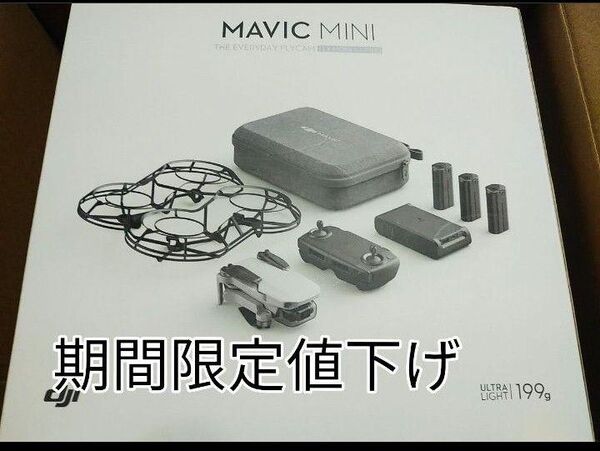 DJI MavicMini フライモアコンボ ドローン 収納ケース プロペラガードなど付属品多数