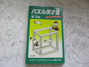 ☆パズル天才塾　あなたの脳細胞を直撃　樺旦純☆