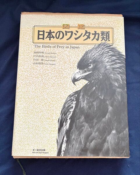 図鑑 日本のワシタカ類