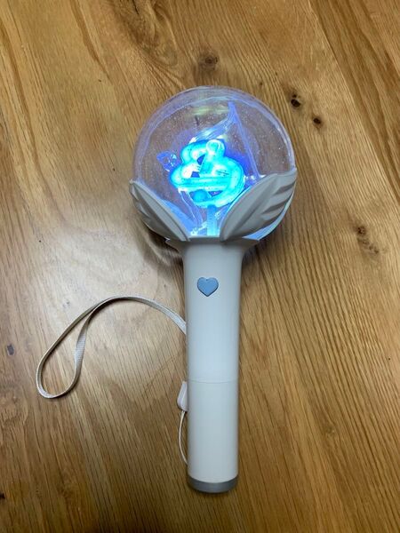 (美品)パクボゴム 公式ペンライト