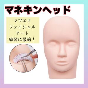 マネキンヘッド 練習用 エステ フェイシャル まつげ エクステ アート ツボ 鍼灸 整体 業務用