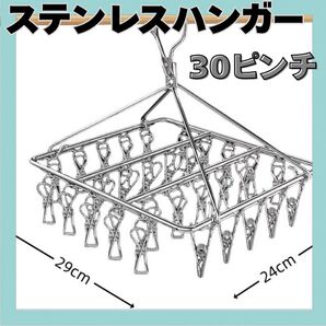 ピンチハンガー 物干し 下着 靴下 洗濯ピンチ 洗濯ハンガーピンチハンガー 洗濯物干し 洗濯バサミ 物干し 30ピンチ 大容量