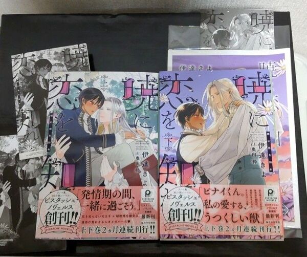 暁に恋を知れ 上下 (PISTACHE NOVELS) 伊達きよ/著