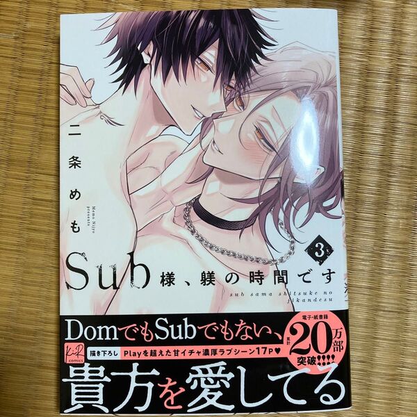 Sub様、躾の時間です 3/二条めも