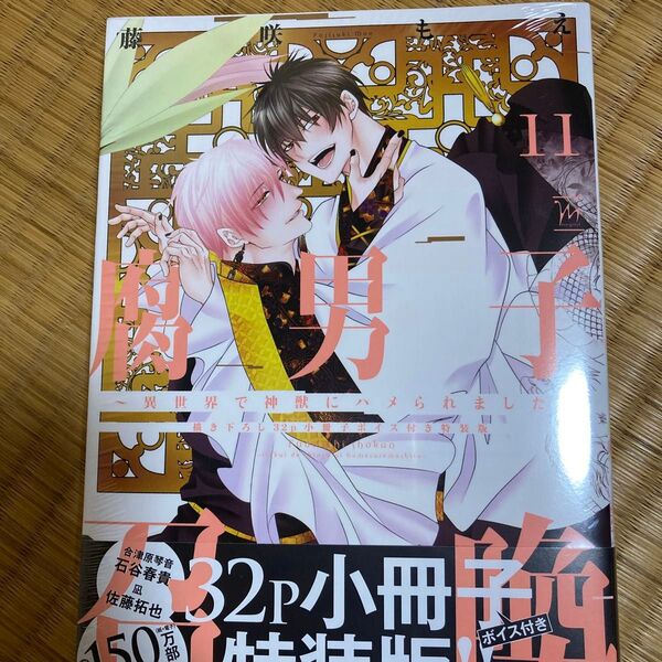 腐男子召喚 異世界で神獣にハメられました 11/藤咲もえ